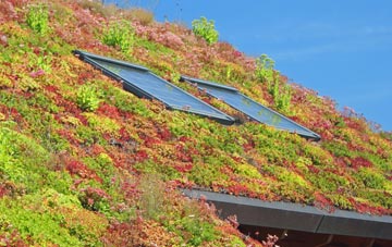 Perryfields living roof systems