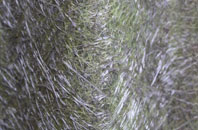 Perryfields fibreglass roof work